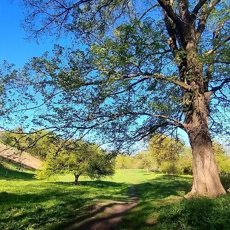 Trendy Old Town Area - Paupys Nature Treat & Free Parking Apartment