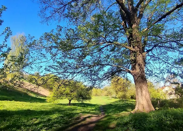 Trendy Old Town Area - Paupys Nature Treat & Free Parking Appartamento